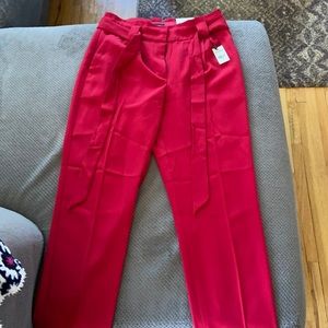 Express Dress Pants